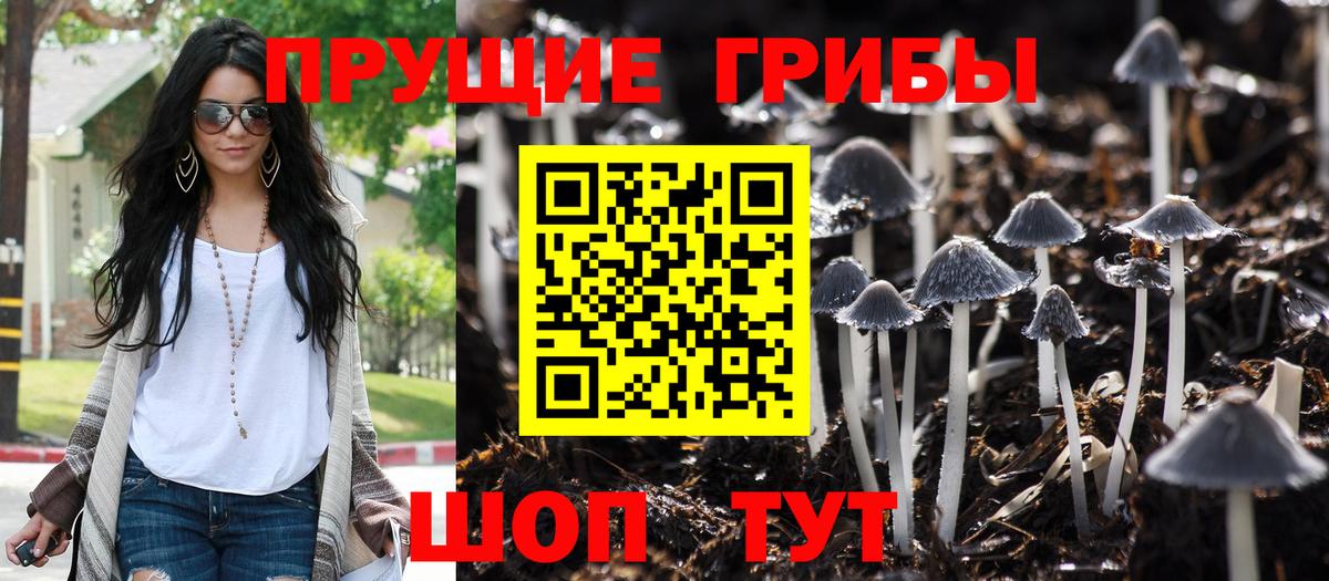 Горячий Ключ  Галлюциногенные грибы мицелий  Вход с VPN 